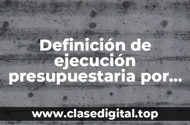 Definición de ejecución presupuestaria por partidas