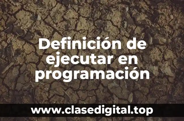 Definición de ejecutar en programación
