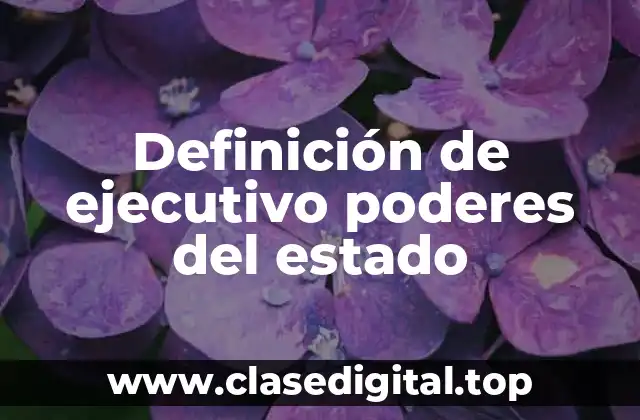 Definición de ejecutivo poderes del estado