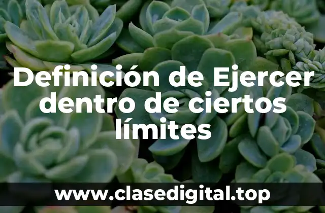 Definición de Ejercer dentro de ciertos límites