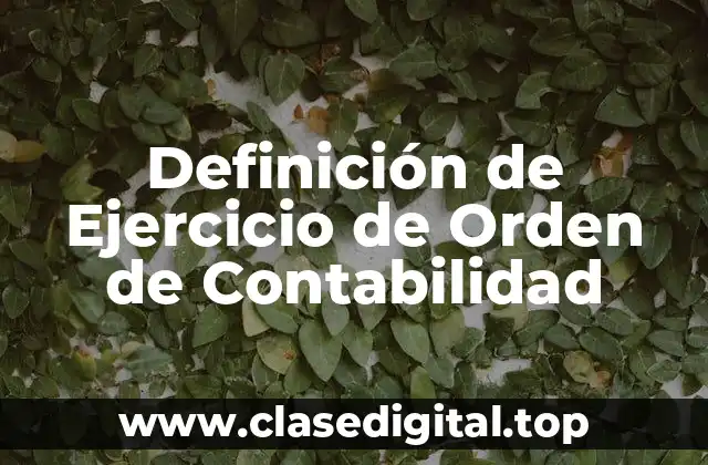 Definición de Ejercicio de Orden de Contabilidad