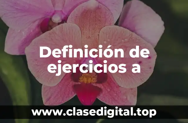Definición de ejercicios a