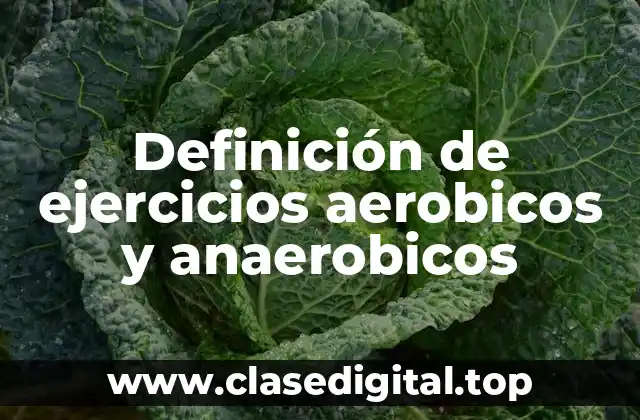 Definición de ejercicios aerobicos y anaerobicos