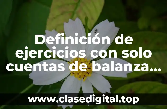 Definición de ejercicios con solo cuentas de balanza general