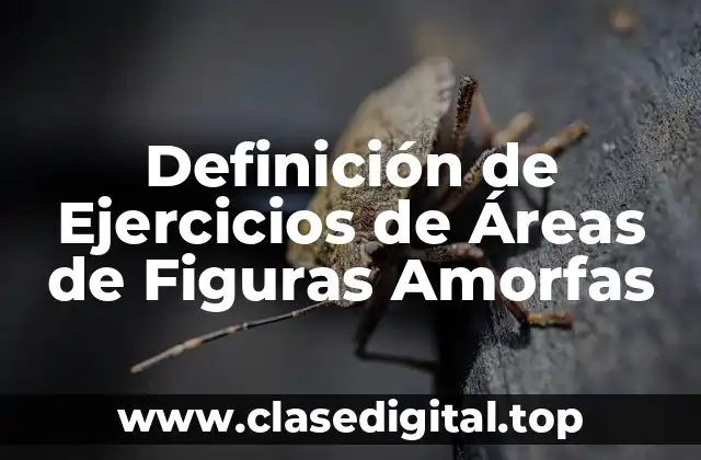 Ejemplos de Ejercicios de Áreas de Figuras Amorfias