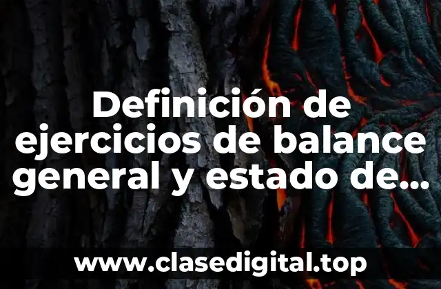 Definición de ejercicios de balance general y estado de resultados