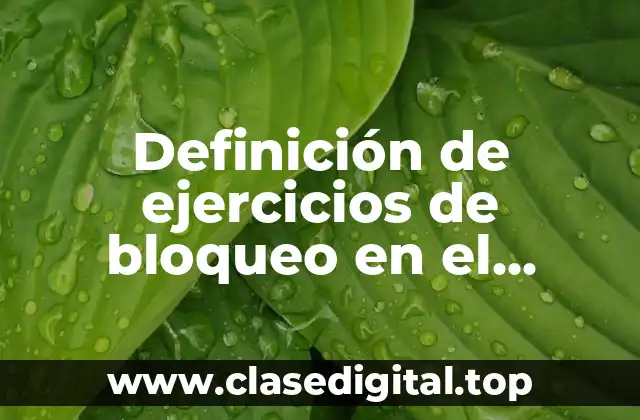 Definición de ejercicios de bloqueo en el voleibol