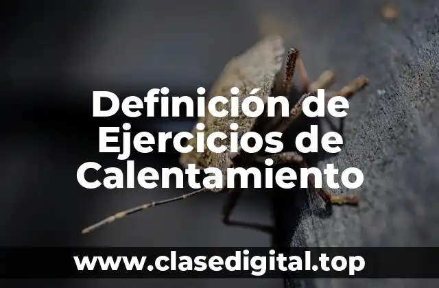Definición de Ejercicios de Calentamiento