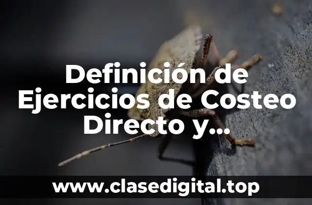 Definición de Ejercicios de Costeo Directo y Absorbente