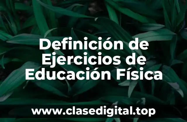 Ejemplos de Ejercicios de Educación Física