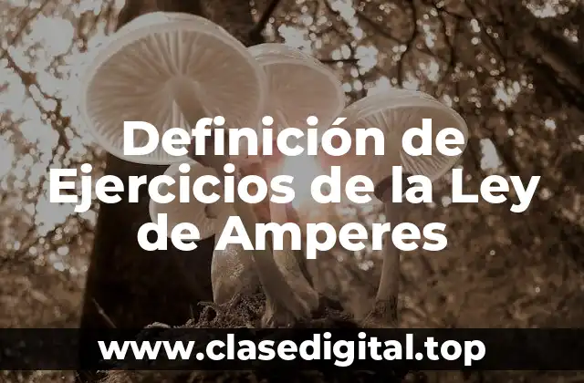 Definición de Ejercicios de la Ley de Amperes
