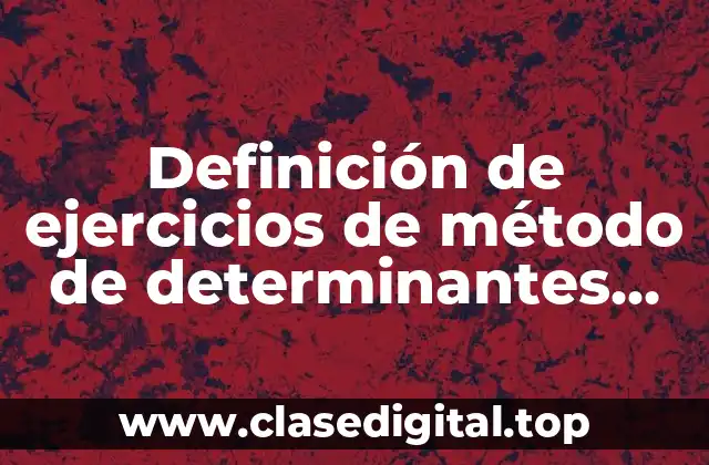 Definición de ejercicios de método de determinantes 3×3