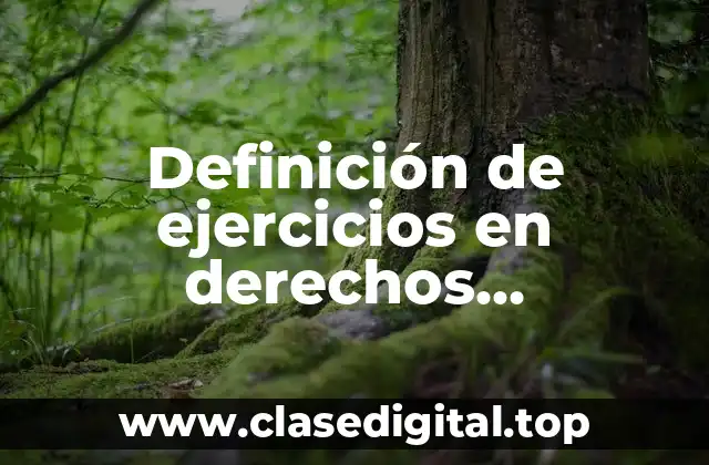 Definición de ejercicios en derechos patrimoniales