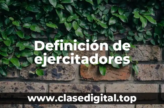 Definición de ejercitadores