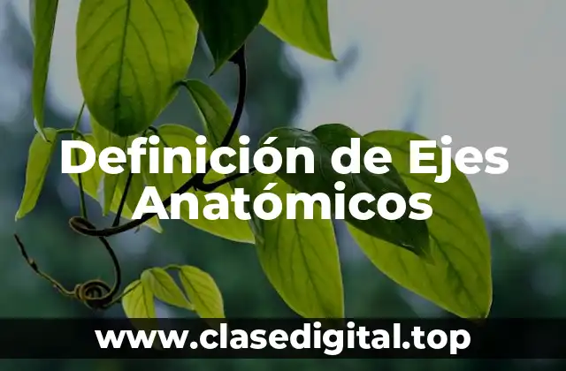 Definición de Ejes Anatómicos