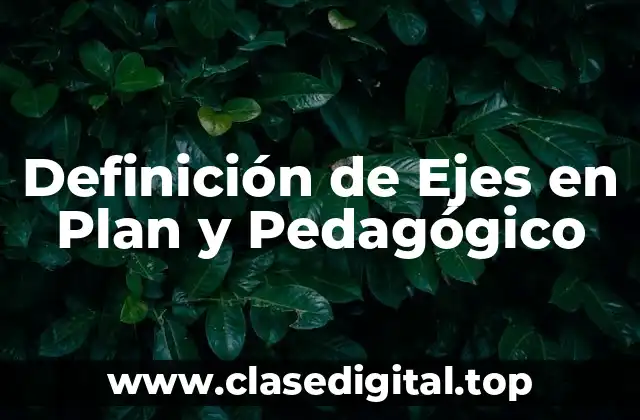 Definición de Ejes en Plan y Pedagógico