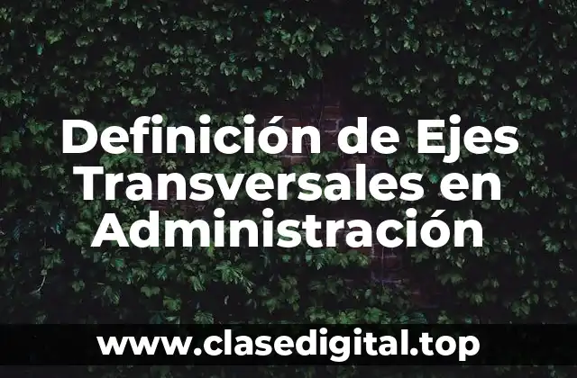 Definición de Ejes Transversales en Administración