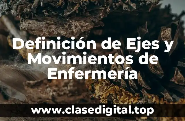 Definición de Ejes y Movimientos de Enfermería