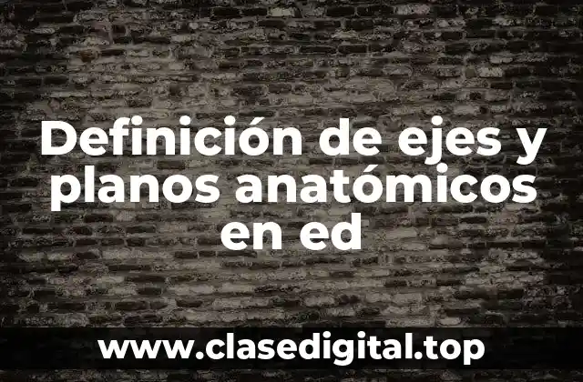 Ejemplos de ejes y planos anatómicos