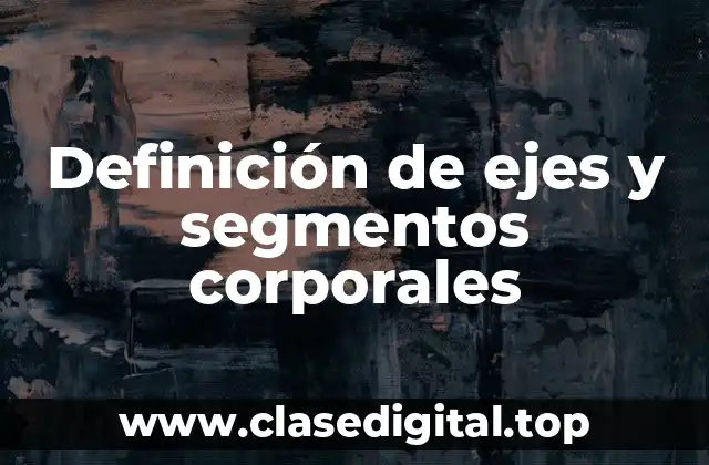 Definición de ejes y segmentos corporales