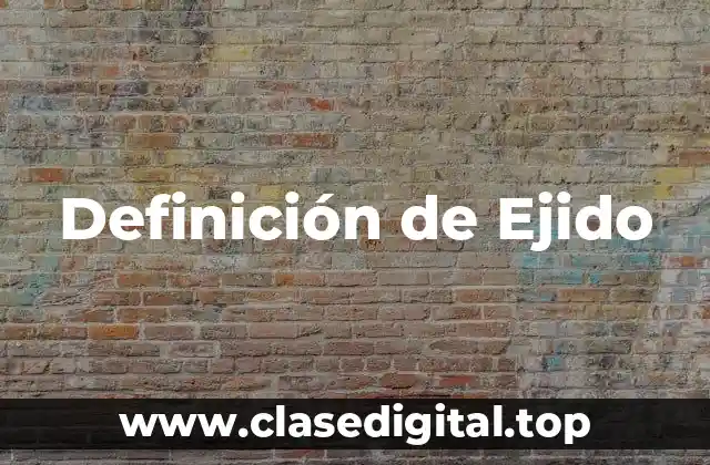 ☄️ Definición técnica de Ejido