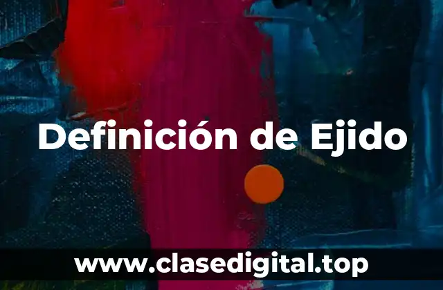 ✔️ Definición técnica de Ejido