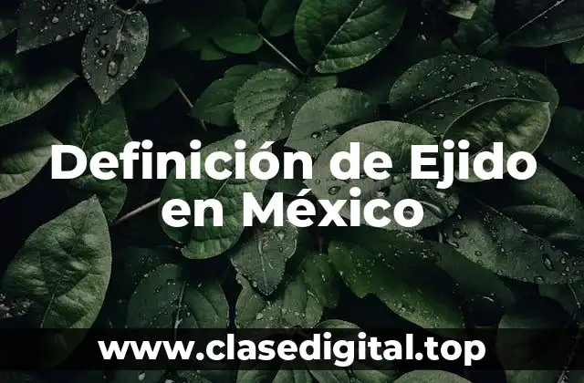 Definición de Ejido en México