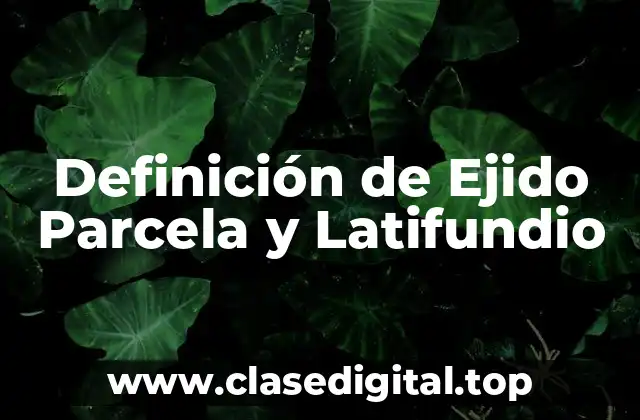 Definición de Ejido Parcela y Latifundio