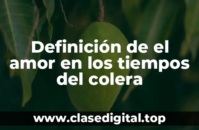 Definición de el amor en los tiempos del colera