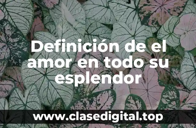 ☑️ Definición técnica del amor