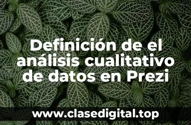 Definición de el análisis cualitativo de datos en Prezi
