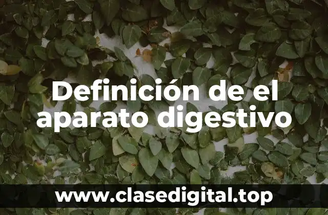 Definición de el aparato digestivo