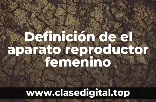 Definición de el aparato reproductor femenino
