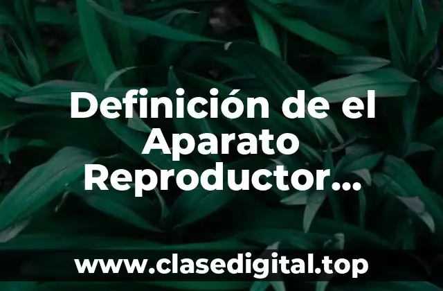 Definición de el Aparato Reproductor Masculino