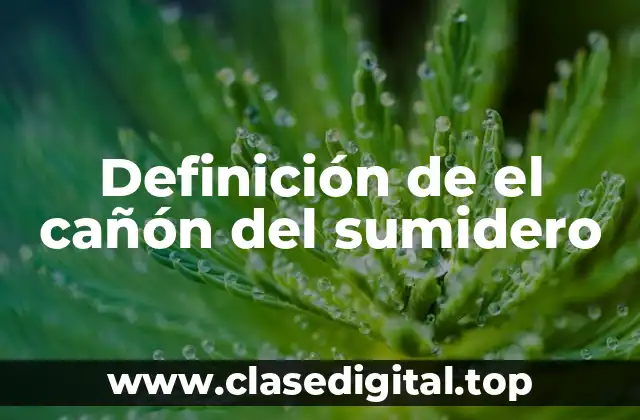 Definición de el cañón del sumidero