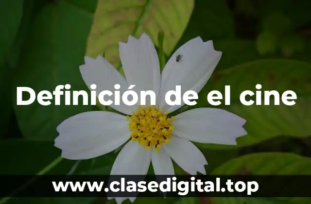 📗 Definición técnica de el cine