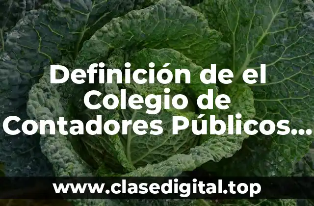 Definición de el Colegio de Contadores Públicos de México
