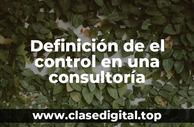 Definición de el control en una consultoría