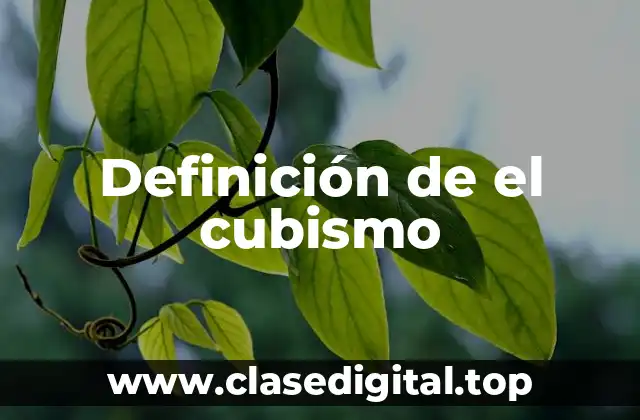 Definición de el cubismo