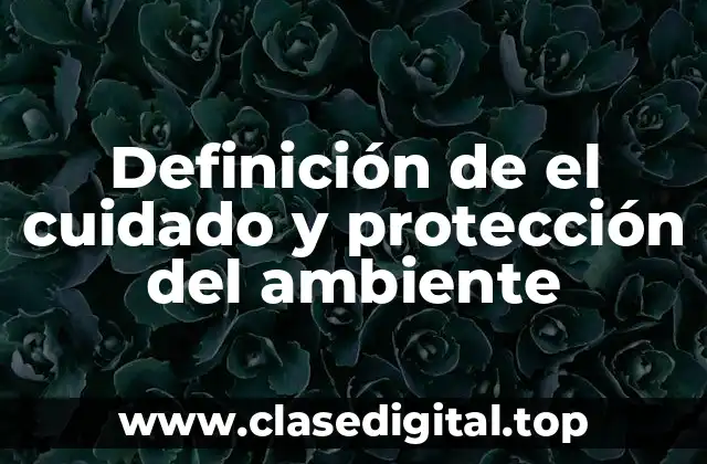 Ejemplos de el cuidado y protección del ambiente