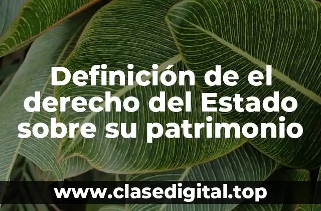 Definición de el derecho del Estado sobre su patrimonio