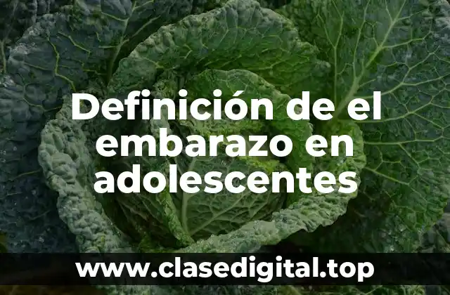 Definición de el embarazo en adolescentes