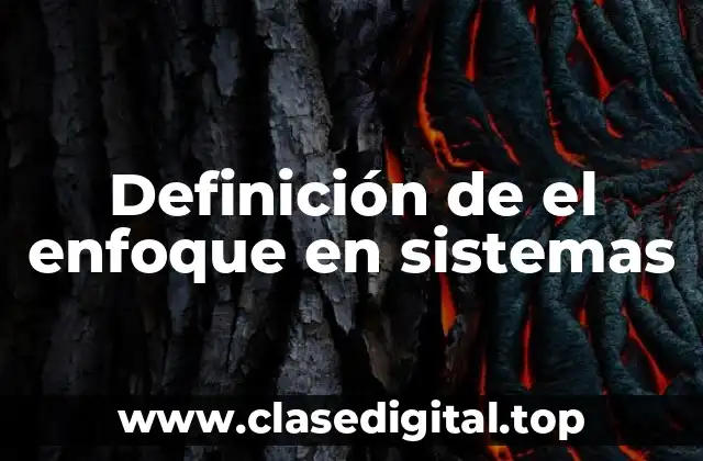 Definición de el enfoque en sistemas