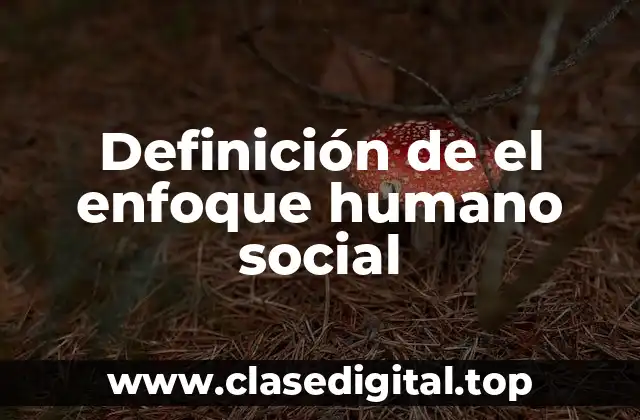 Definición de el enfoque humano social