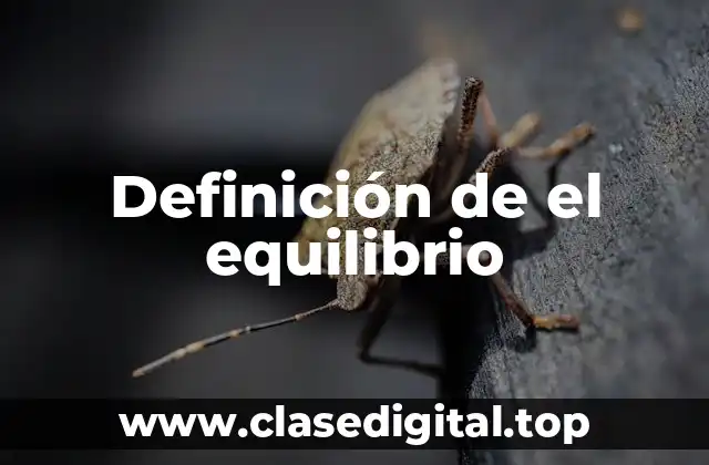 Definición de el equilibrio