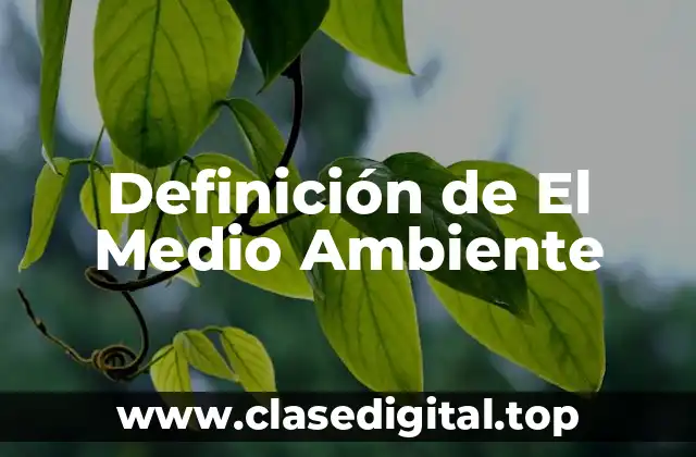 Definición de El Medio Ambiente