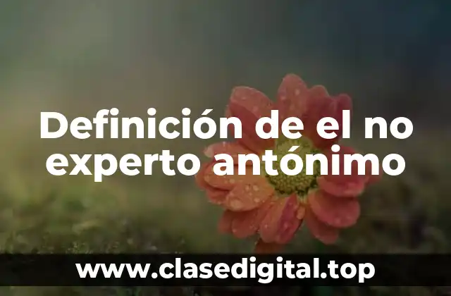 Definición de el no experto antónimo
