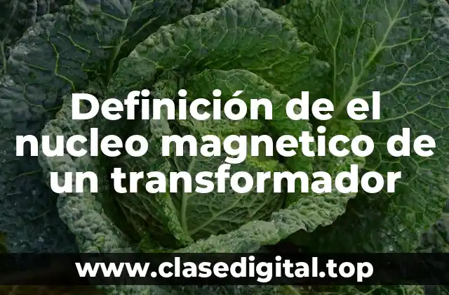 Definición de el nucleo magnetico de un transformador