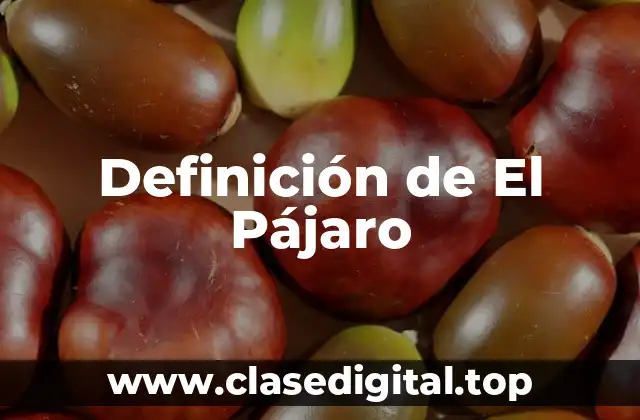 ❄️ Definición técnica de Pájaro