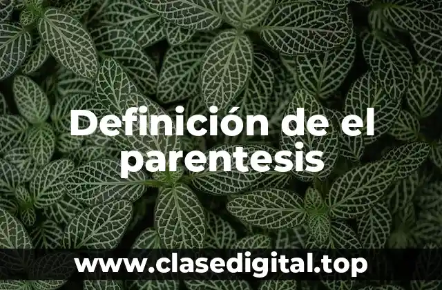 Definición de el parentesis
